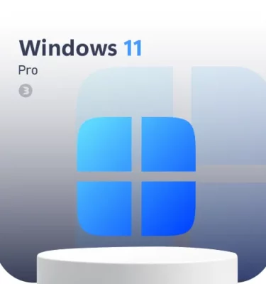 Windows 11 pro