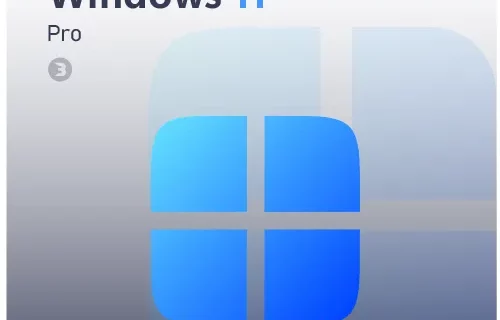 Windows 11 pro