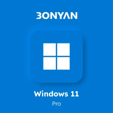 Windows 11 pro