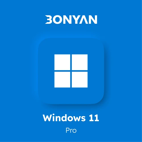 Windows 11 pro