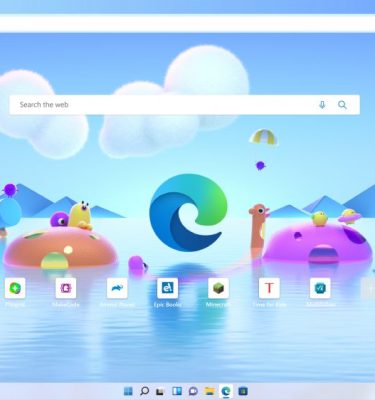 Windows 11 Pro