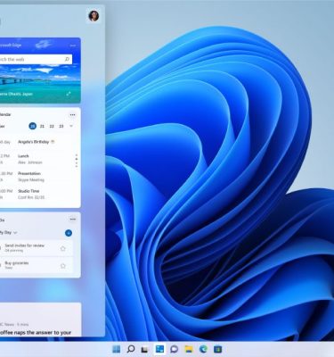 Windows 11 Pro