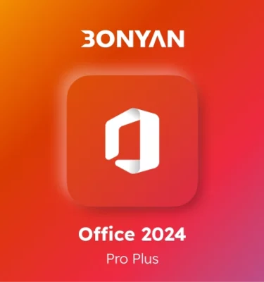 office 2024 - pro plus