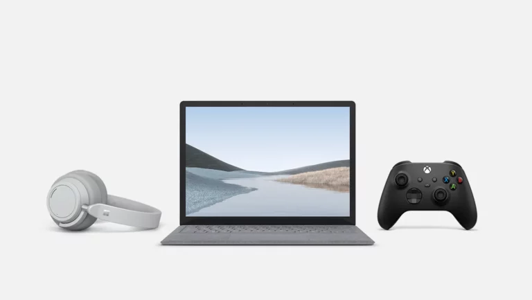 Windows main section